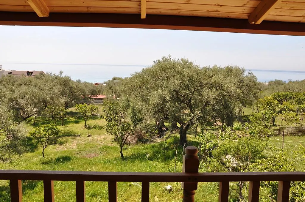 Guest House Luiza Borsh 0*,  Albania