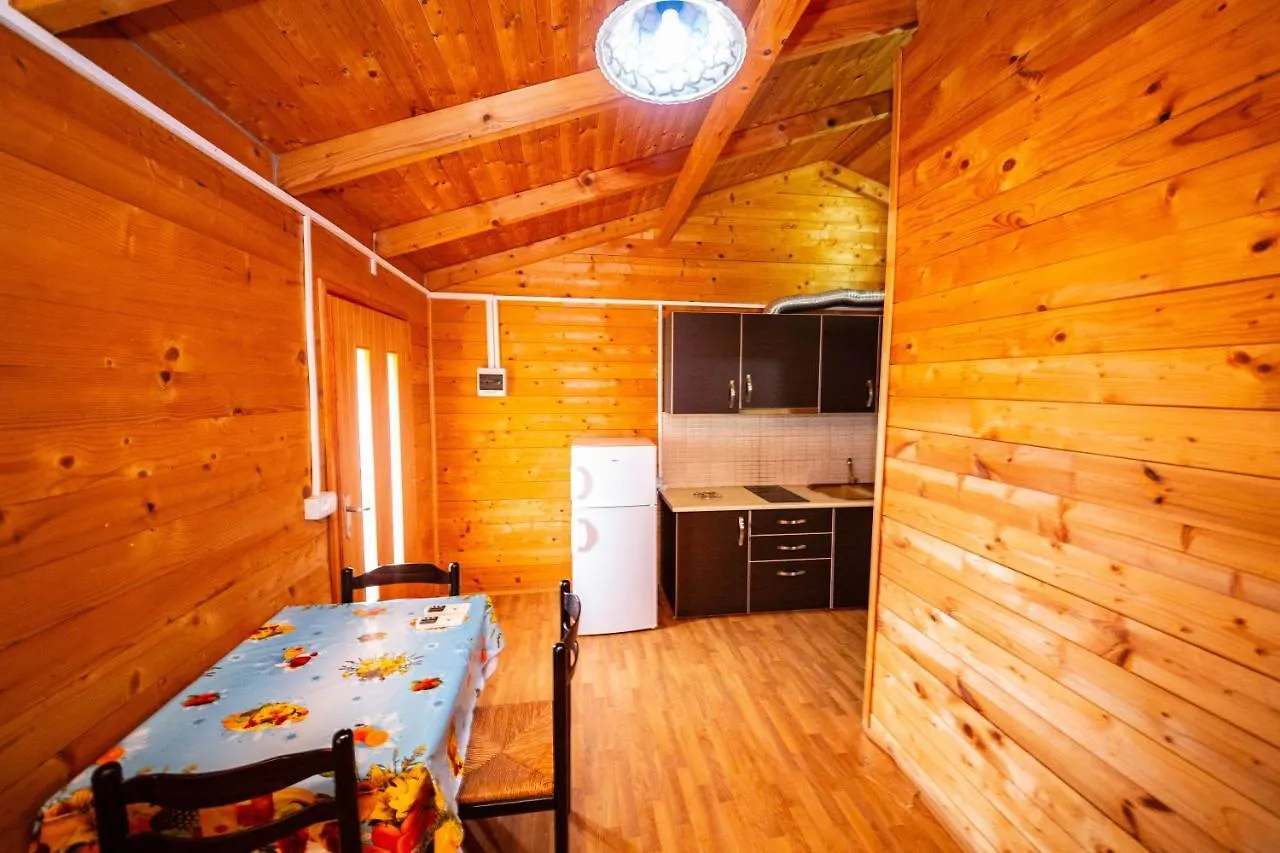 Guest House Luiza Borsh