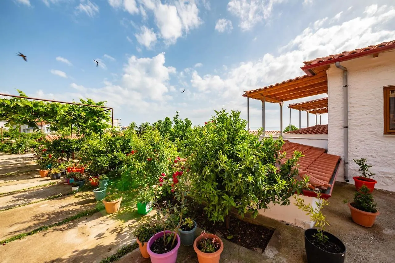 Guest House Luiza Borsh