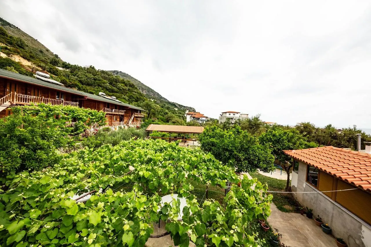 Guest House Luiza Borsh 0*,  Albanie